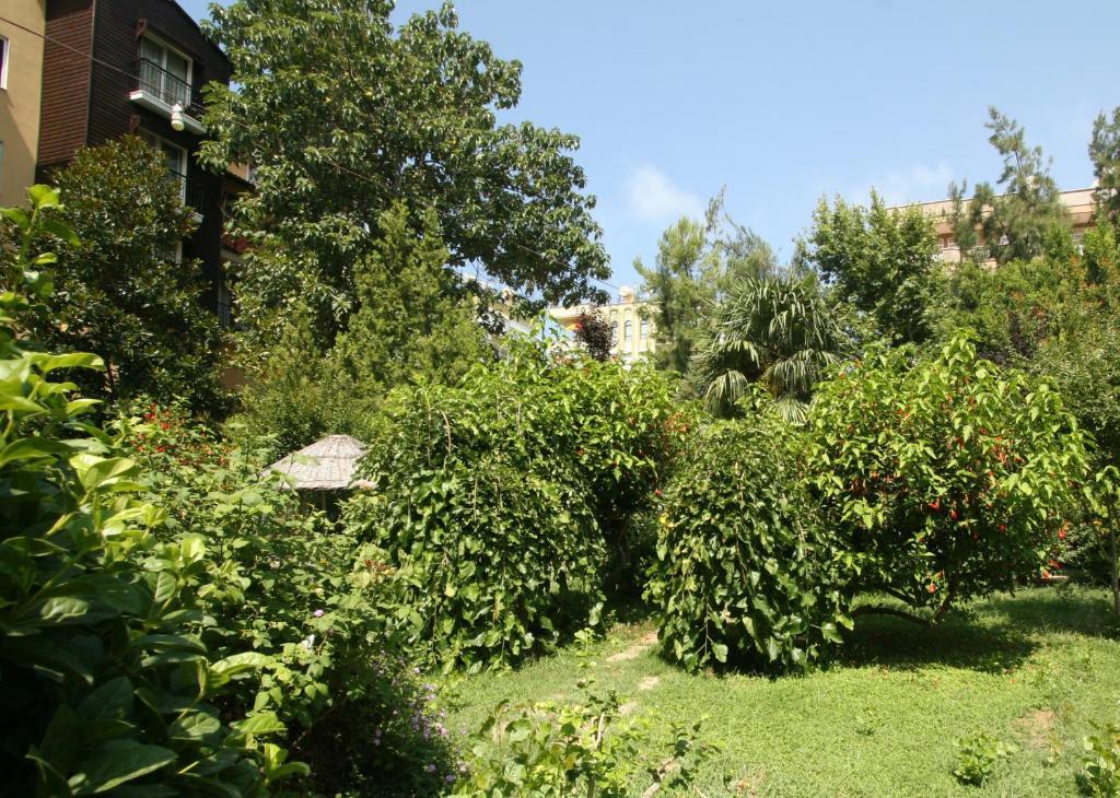 Sevkibey Hotel Alanya Exterior foto